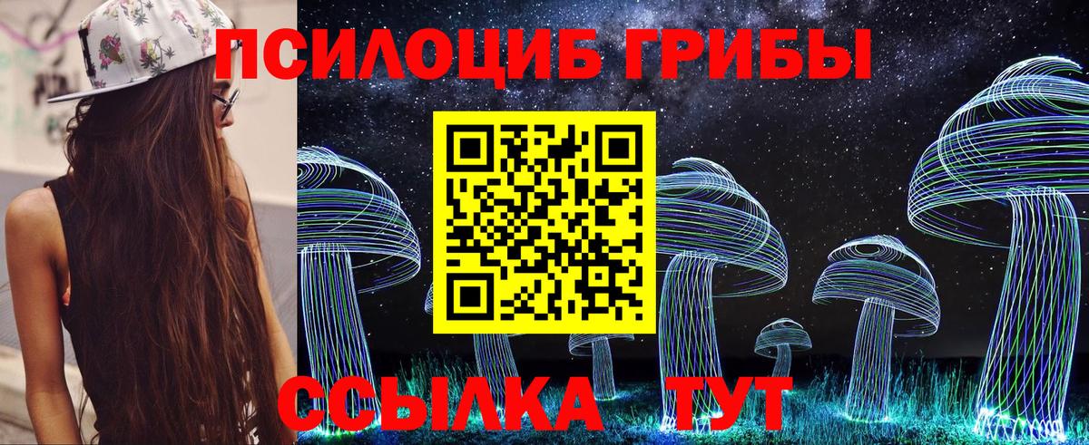 Галлюциногенные грибы Psilocybe  Вход с VPN  Дзержинск  Галлюциногенные грибы прущие грибы 